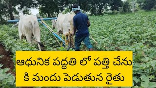 ఆధునిక పద్దతిలో పత్తి చేను కి మందు || Modern method of treatment of cotton weevil || VJYreview