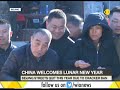 China celebrates year of the dog