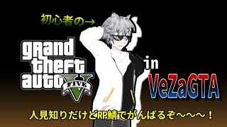 #VeZaGTA #12 】ネコネコタクシーサン3日目！仕切り直し！【GTA初心者】