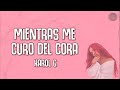 Karol G - Mientras Me Curo Del Cora (Letra)