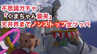 【ドラブラ】不思議ガチャ「くまちゃん襲来」【コード:ドラゴンブラッド】