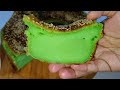 Kuih Bakar Pandan Sangat Lembut Wangi & Cukup Berlemak | Bingka Pandan Sukatan Cawan