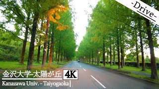 【ドライブ 4K】地元民オススメ紅葉スポット 金沢大学 - 太陽が丘【Drive 4K】Kanazawa Uni. - Taiyogaoka, Japan