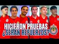 🚨 ¿REFUERZOS PARA CHIVAS? HOY REPORTARON A PRUEBAS FÍSICAS Y MÉDICAS