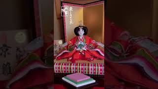 Japanese Tea Ceremony - 雛人形を飾りました #Shorts