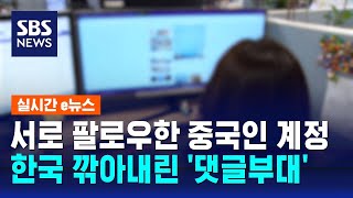 서로 팔로우한 중국인 계정…한국 깎아내린 '댓글부대' / SBS / 실시간 e뉴스