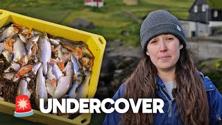 🚨🐟 UNDERCOVER On A Faroese Salmon Farm | with @meganmccubbinwild