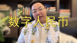 网友：数字人民币怎么看？老陌：很好的东西，有钱人都跑了