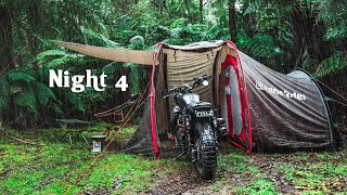 Rain ASMR | Solo Camping in a Rainforest from my Motorcycle | Silent Vlog