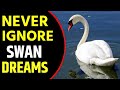 Swan Dream Meaning | Dreaming of Swan | Swan Dream Interpretation | Spiritual Dream Meaning of Swan