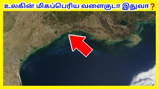 மெக்சிக்கோ வளைகுடா / Gulf of Mexico / Tamil Geography News