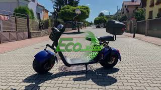 Elektrická chopper koloběžka Ecowheel GR7 1000W / Electric scooter EcoWheel GR7 1000W