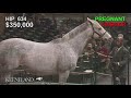 2018 Keeneland January Sale – Spring Eclipse (hip 634)