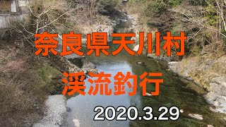 奈良県天川村渓流釣り