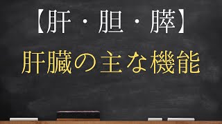 【肝・胆・膵】肝臓の主な機能【医師国家試験】