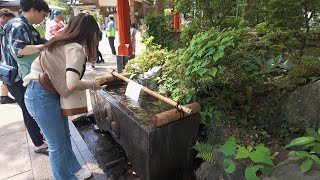 Enoshima Island: A Journey Through Time 【4K HDR】(東京散歩) 2024