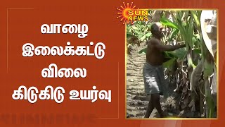 Banana Leaf | சிவகங்கையில் வாழை இலைக்கட்டு விலை கிடுகிடு உயர்வு | Sunnews