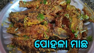 Pohala machha || ପୋହଳା ମାଛ  #pohala