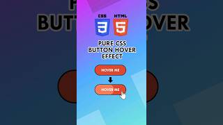 HTML CSS for Beginners | Pure CSS Button hover effect No JavaScript #css #html #htmlcsstutorial