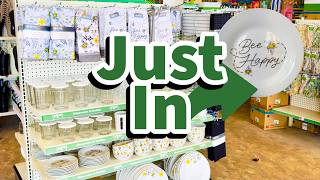 Dollar Tree 2026 New Finds This Week