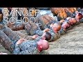 US Army Ranger School - The Toughest Combat Course In The World US Army Ranger School - The Toughest Combat Course In The World