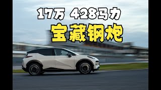 17万，买电钢炮？