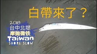 釣魚分享EP24 | 台中北堤 | 刺蔥 | 白帶靠了？(SHORE JIGGING TAIWAN)