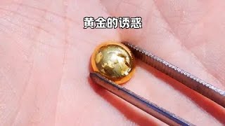 從晶片中提煉黃金全過程 #科普 #黃金提煉 #漲知識 #變廢為寶 #電子垃圾提煉黃金