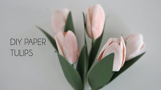 DIY Paper Tulip (how to make paper flower hand cut and machine cut)