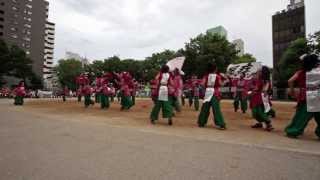 ２０１３どまつり　春日井疾風演舞　矢場公園会場