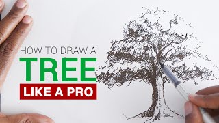 How to draw a realistic tree for beginners