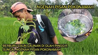 SAYUR DAUN DAUN NAN NGENAH PISAN POKONAMAH 🤤