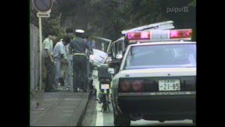 【ドラレコ】下田から石廊崎へ行くところ 1988年07月29日