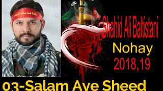04.SALAM A SHAHEED/ SHAHID ALI BALTISTANI NEW NOHA 2018,19