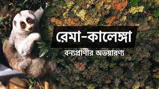 Rema-Kalenga Reserved Forest Tour| Wild Life Expedition | রেমা-কালেঙ্গা ভ্রমণ| Habiganj|, Sylhet.