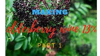 making elderberry wine 13% part 1