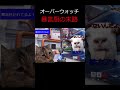 オーバーウォッチ暴言厨の末路 shorts overwatch2 オーバーウォッチ2 猫ミーム 猫