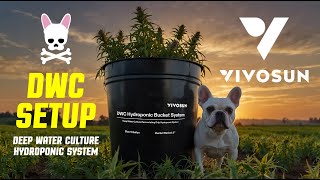 VIVOSUN - DWC Hydroponic System Kit Setup - Deep Water Culture - Grow Tent Pro