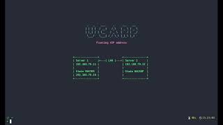 Floating VIP address with UCARP and Alpine Linux [2026 Tutorial Linux]