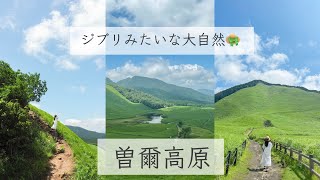 【奈良】日々にお疲れの人におすすめの、さくっとリフレッシュスポット！！🍃 曽爾高原🌳［4K］