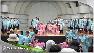 【4K】早稲田大学 東京花火｜藤結び（原宿スーパーよさこい'15 代々木公園ステージ）