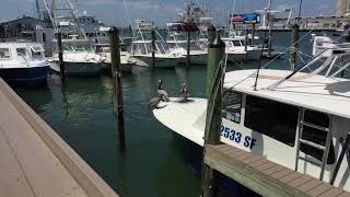 Waterfront Restaurant Grills Seafood Deck Near Cocoa Beach Florida