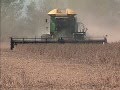 Drought reduces soybean, cotton yields