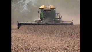 Drought reduces soybean, cotton yields