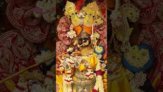 Radha Ashtami shringar Darshan #radhavallabh #radhaasthmi #darshan #shortsfeed