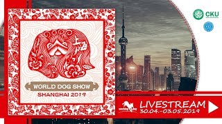 World Dog Show 2019 - Shanghai (China)