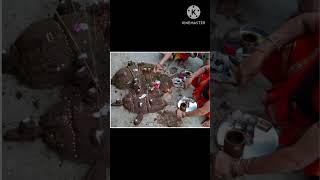 Mere Govardhan Girdhari🙏🙏🚩 #Govardhan puja shorts video# trending#youtubeshorts #status