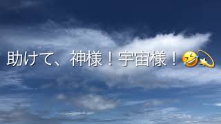 【移住】1ヶ月。宮古島の中心でヘルプと叫ぶ🤣