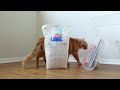 we tried prettylitter cat litter full review