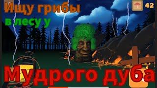 Ищу грибы в лесу мудрого дуба. Прохождение игры 